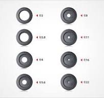 Focusing Basics | Aperture and Depth of Field