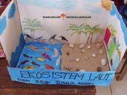  Pin Di Ruang Belajar