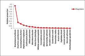 Image result for Haplocoelum