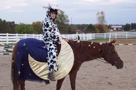 We did not find results for: Top 10 Horse And Rider Costumes Your Horse Farm
