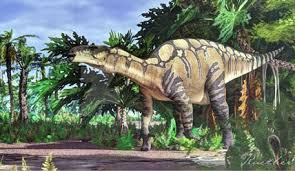 Comment expliquer la disparition des dinosaures ? Quel Est Le Premier Dinosaure Decouvert Dans Le Monde Lisa 8 Ans Images Doc