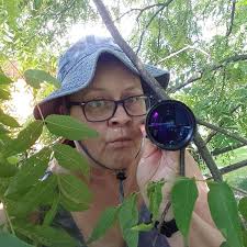 Fake News, Witch Hunts, and Conspiracy Theories: An Infodemiologist's Guide  to the Truth: Hoffmann, Pauline W.: 9781737517870: Amazon.com: Books