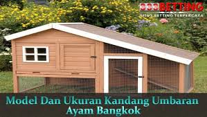 ∙ promo pengguna baru ∙ kurir instan ∙ bebas ongkir ∙ cicilan 0%. Model Dan Ukuran Kandang Umbaran Ayam Bangkok Link Daftar Situs Agen Judi Online Slot Online Sabung Ayam Online Casino Online Tangkasnet Terpercaya