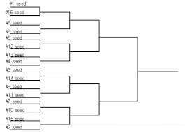 How Wrestling Tournament Brackets Work