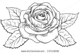 Https S Media Cache Ak0 Pinimg Com Originals 62 61 16 626116491bb3216dccd77bb2b46f201a Jpg Dibujos De Rosas Como Dibujar Rosas Tatuajes De Rosas Para Hombres
