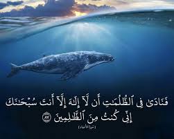 pin by هده الدنيا ليست الجنة on آيات islamic pictures islamic quotes whale
