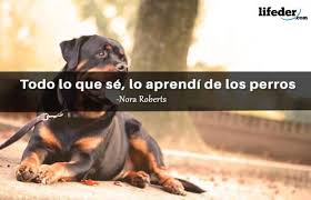 Maybe you would like to learn more about one of these? Las 100 Mejores Frases Sobre Perros