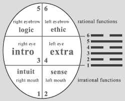 esoteric chart of a human person and physiognomy of a face