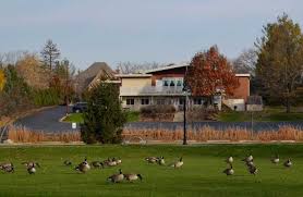 Judd Kendall Vfw Post Auxiliary Is Set To Host Virtual Turkey Raffle Positively Naperville