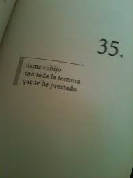 Mario Benedetti Rincon De Haikus Give Me Shelter With All The Tenderness That You Ve Lent Thoughts Quotes Book Quotes Words