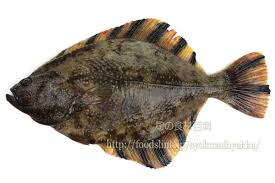 臨界ダイバー 歌ってみたのはメガテラ・ゼロ — 臨界ダイバー 歌ってみたのはメガテラ・ゼロ 03:17. ããã¬ã¬ã¤ ã«ã¯ã¬ã¬ã¤ æ¬ã®é­ä»ç¾ç§'