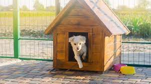 Check spelling or type a new query. 35 Outdoor Dog Kennel Ideas