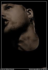 Mark Roelofs, Heideroosjes.