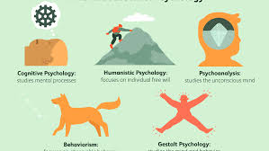 The purpose of this lesson is to provide students with a structure that they can use to identify the key details of a reading passage and how to determine the central idea. The 7 Psychology Schools Of Thought
