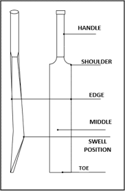 Over 5,254 cricket bat pictures to choose from, with no signup needed. Identify A Cricket Bat S Sweet Spots With Structural Mechanics Analysis Comsol Blog
