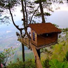 Rumah pohon dengan jembatan gantung: 30 Rumah Pohon Di Indonesia Yang Instagramable Terbaru 2021