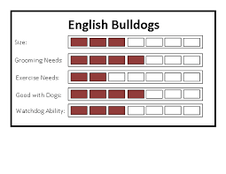 Male English Bulldog Growth Chart Best Picture Of Chart