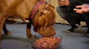 Maybe you would like to learn more about one of these? Best Dog Food For Pitbulls Pitbull Puppies