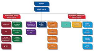 about organizational chart