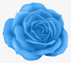 See more ideas about blue roses, blue rose, beautiful roses. Blue Rose Png Images Transparent Blue Rose Image Download Pngitem