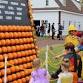 Tricks & Treats