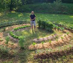 comment bien demarrer son potager 6 questions de base a un permaculteur potager planter des legumes planter tomates