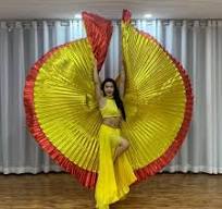 Beautiful Chinese Dance Gradient Folding Fan Stage Performance Props (Left and Right)
