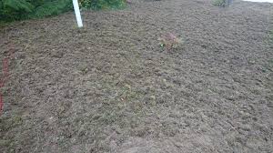 Image result for site:byggahus.se sådd