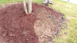 Mulch Magic Video I Want To Use Red Wood Chips On All The Garden Areas Black Will Burn The Plantas And Brown Goes Against The Gr Tree Mulch Mulch Stone Decor