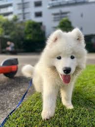 Kerry Crane's Instagram, Twitter & Facebook