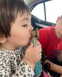 👉 PEREGRINOS DE LA VIRGEN Catalina Itati Aguirre, vuelta a casa después de  la fiesta del 16. De Hurlingham, Buenos Aires.