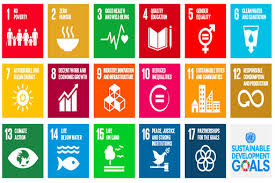 case study safaricom and sustainable development goals