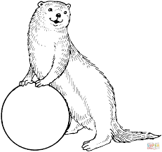 The official animal jam & animal jam classic instagram! Zentangle Otter Coloring Pages Novocom Top