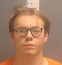 2 Lake Park brothers accused of assaulting father