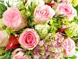 Download the perfect bouquet of flowers pictures. Pink Roses Beautiful Flowers Bouquet Stock Image Colourbox