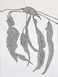 Maybe you would like to learn more about one of these? Negative Space Djirang A Leaves Of A Tree Konkk0048 By Konstantina