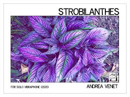 Image result for Strobilanthes