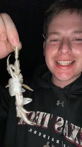 Douglas Stratton (@Dougie95Fresh)