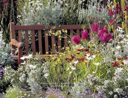 Australian Native Garden At The Royal Botanical Garden In Sydney Make A Farm Garden Beautiful A In 2020 Australian Native Garden Australian Garden Native Garden