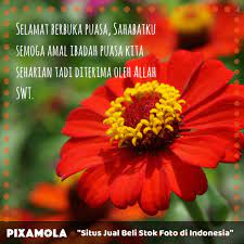 Kata ucapan menyambut bulan ramadhan terbaru. 5 Ucapan Manis Selamat Berbuka Puasa Kumparan Com