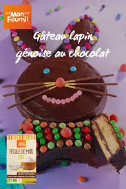 Recette De Gateau Lapin De Paques Mon Fournil Gateaux Lapin Gateaux En Forme De Lapin Gateau