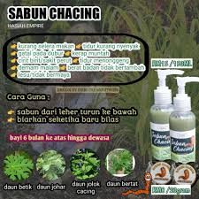 Selepas memakan buah pepaya, perut saya terasa terpelintir dan bab itu berair. Sabun Chacing Sabun Cacing Ubat Cacing Worm Soap Muntah Sakit Perut Cirit Birit Gatal Dubur Demam Malam Shopee Malaysia