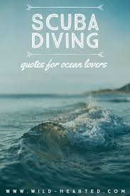 Aug 28, 2020 · 28 of the most inspirational training quotes for athletes, weekend warriors, and everyone in between. 90 Scuba Diving Quotes That Put Your Love Of The Ocean Into Words