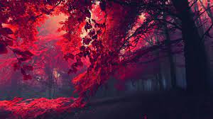 Red Forest 3840x2160 4k 8k Hd 4k Wallpaper Hdwallpaper Desktop Forest Wallpaper Background Images 3840x2160 Wallpaper