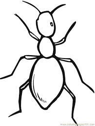 Stats on this coloring page. Ant Coloring Page For Kids Free Ants Printable Coloring Pages Online For Kids Coloringpages101 Com Coloring Pages For Kids
