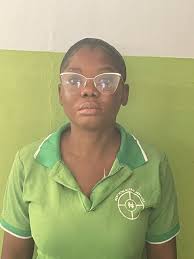 BestWing Investment [NIG] Limited