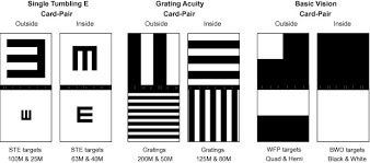 Visual Acuity Testing From The Laboratory To The Clinic