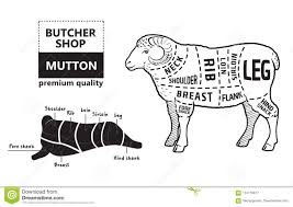 Lamb Or Mutton Cuts Diagram Butcher Shop Stock Vector