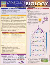 Molecular Biology Molecular Biology Study Biology Biology