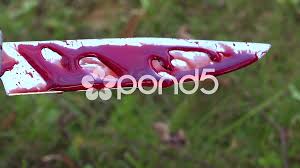 We publish original work and pay fairly. Bloody Knife With Blood Dripping Stock Video Pond5